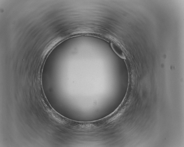 X0000072961129200608111644