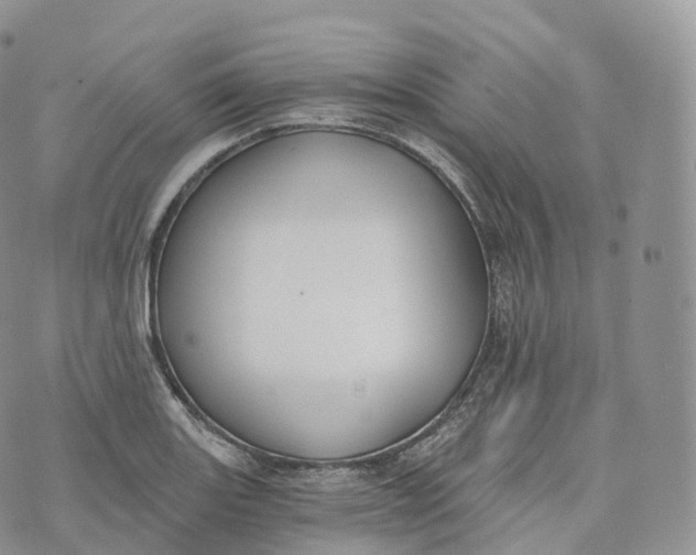 X0000072961131200608111644