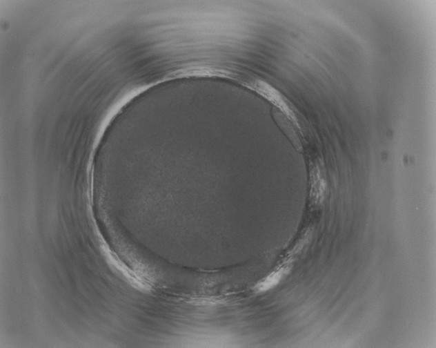 X0000072961132200608111644