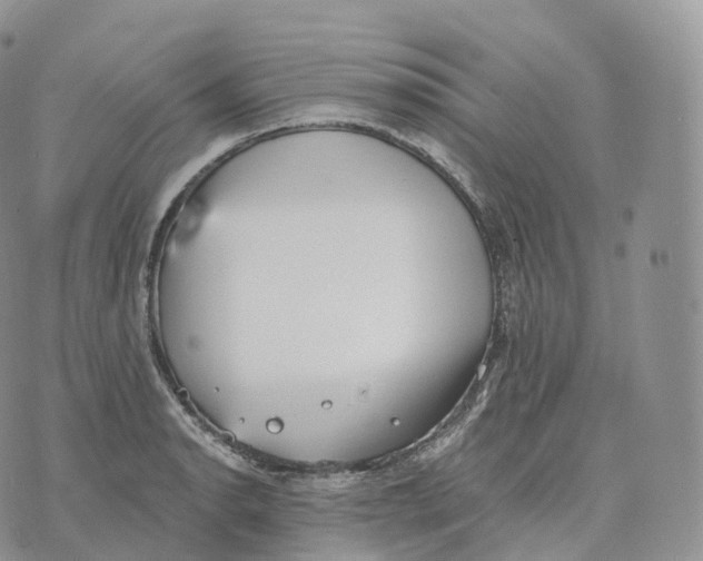 X0000072961134200608111644