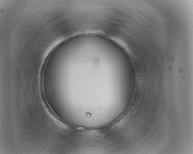 X0000072961135200608111644