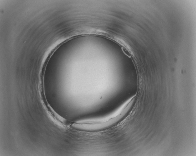 X0000072961136200608111644