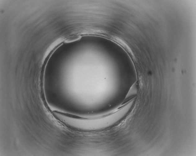 X0000072961138200608111644