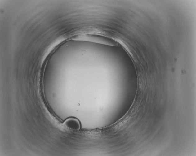 X0000072961139200608111644