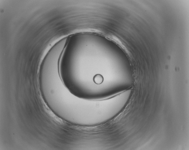 X0000072961140200608111644