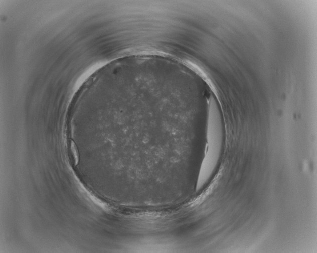 X0000072961141200608111644