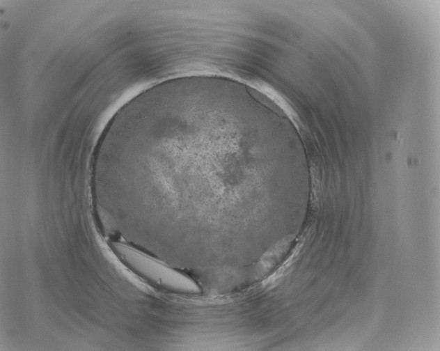 X0000072961142200608111644