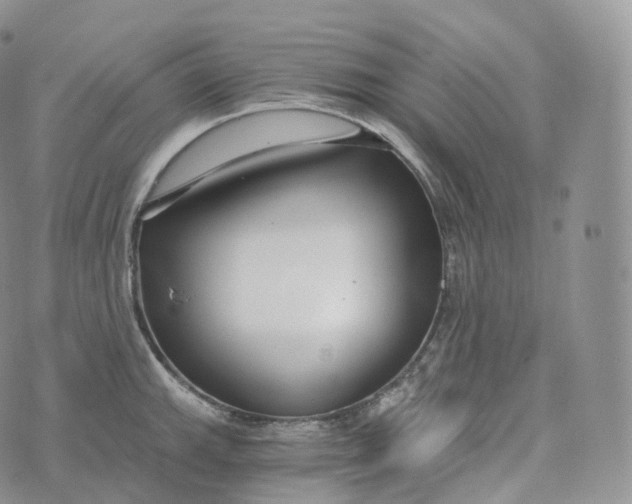 X0000072961143200608111644