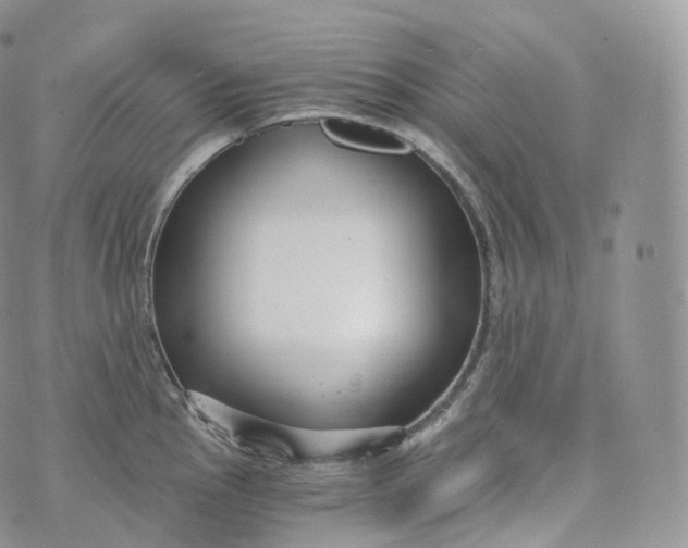 X0000072961145200608111644