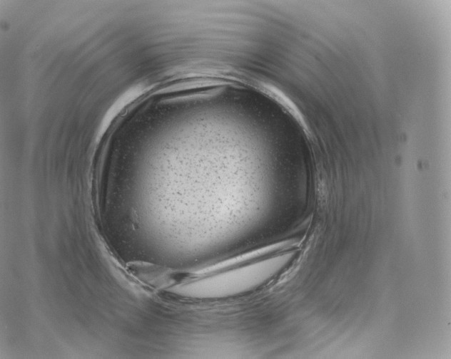 X0000072961146200608111644