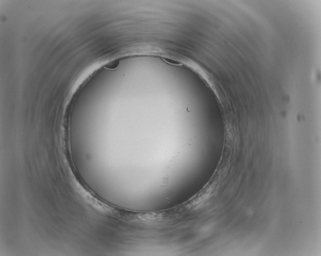 X0000072961147200608111644