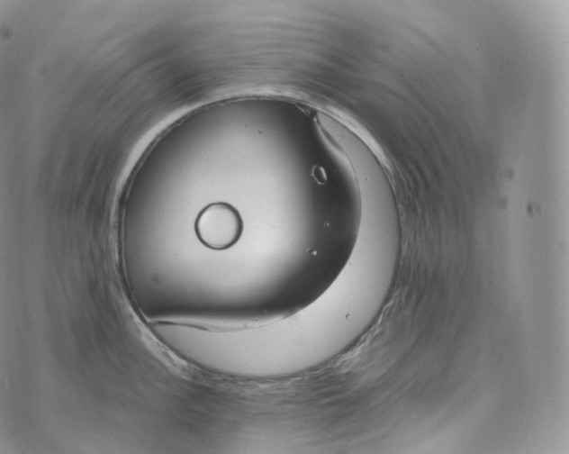 X0000072961148200608111644