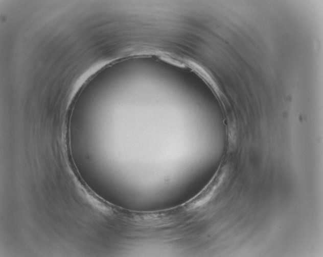 X0000072961149200608111644