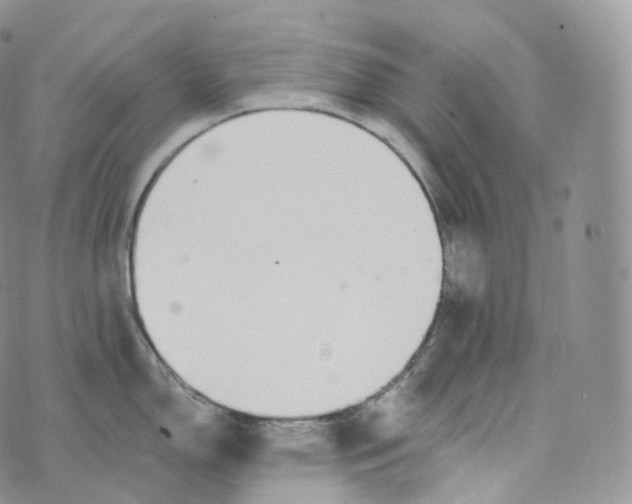 X0000072961150200608111644