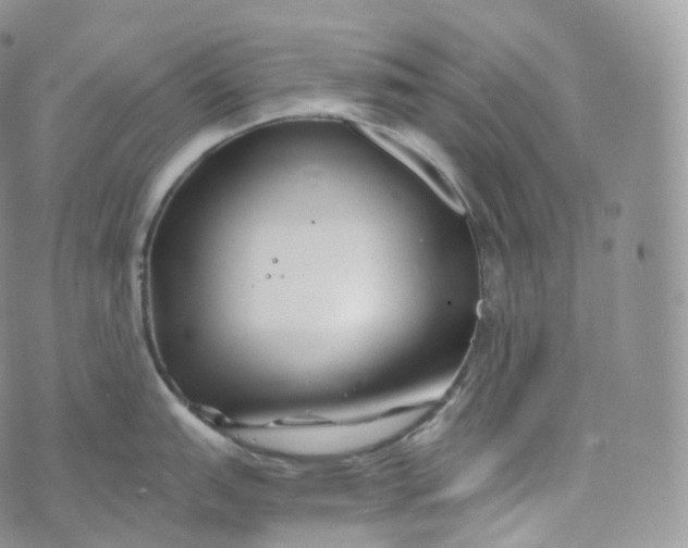 X0000072961151200608111644