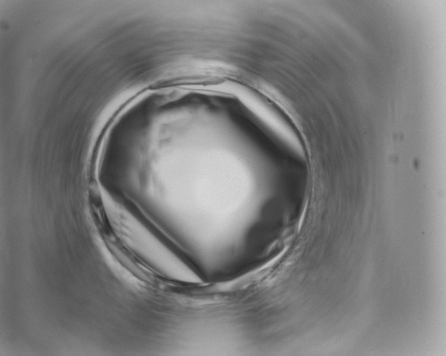 X0000072961152200608111644