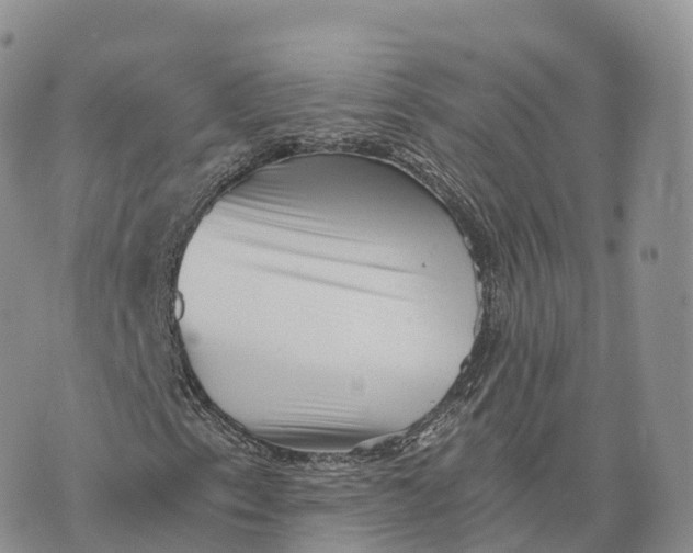 X0000072961153200608111644