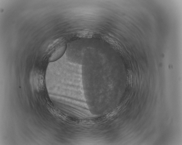 X0000072961154200608111644