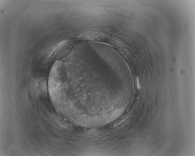 X0000072961155200608111644