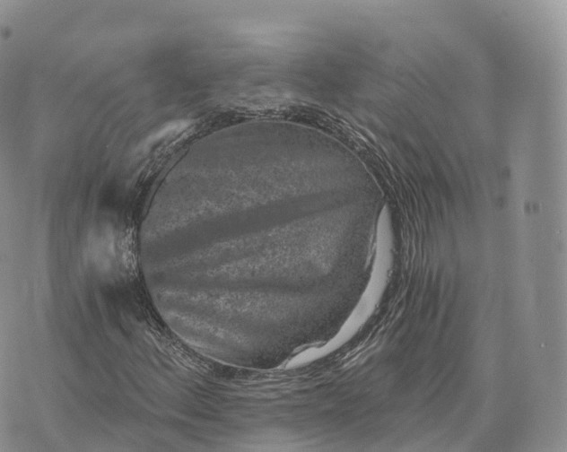 X0000072961156200608111644