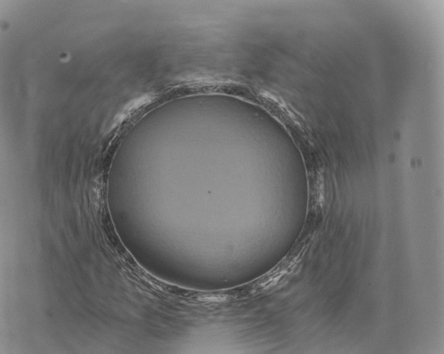 X0000072961157200608111644