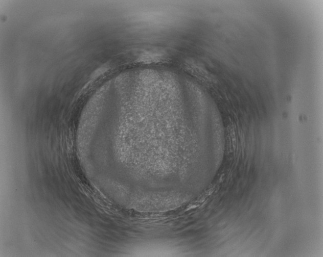 X0000072961158200608111644