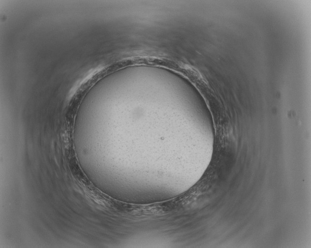 X0000072961159200608111644