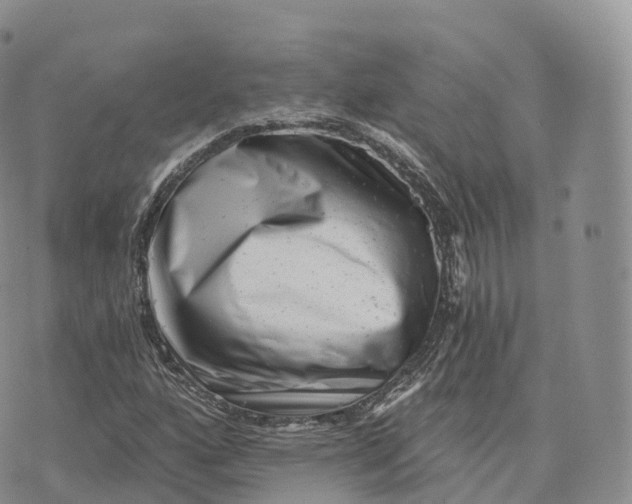 X0000072961160200608111644