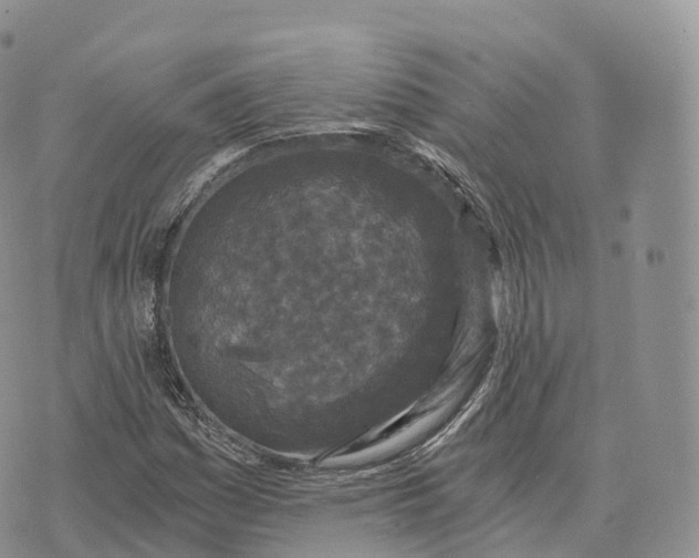 X0000072961161200608111643