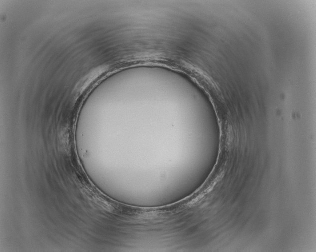 X0000072961162200608111643