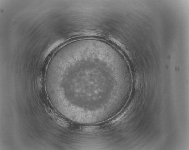 X0000072961163200608111643