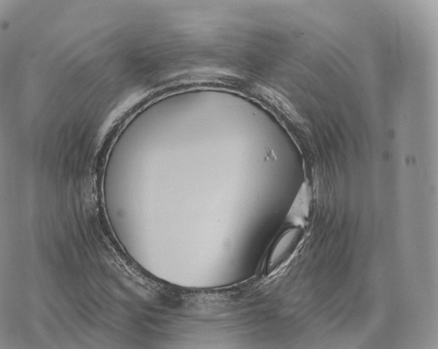 X0000072961164200608111643