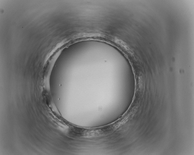 X0000072961165200608111643