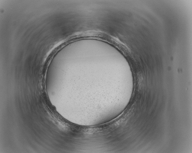 X0000072961166200608111643