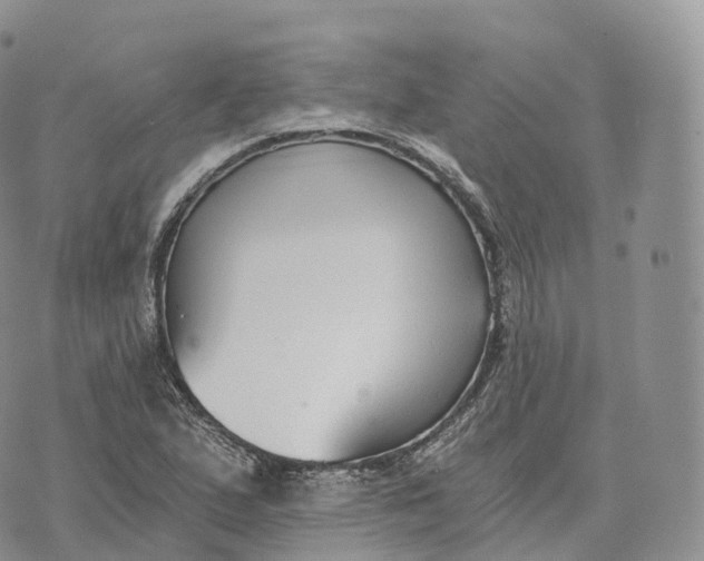 X0000072961167200608111643