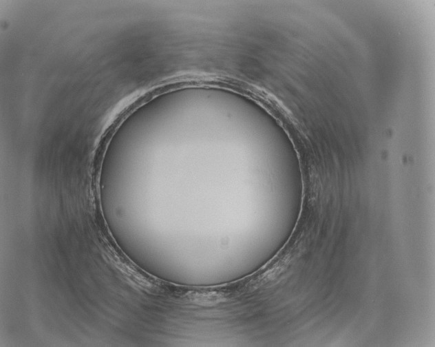 X0000072961168200608111643