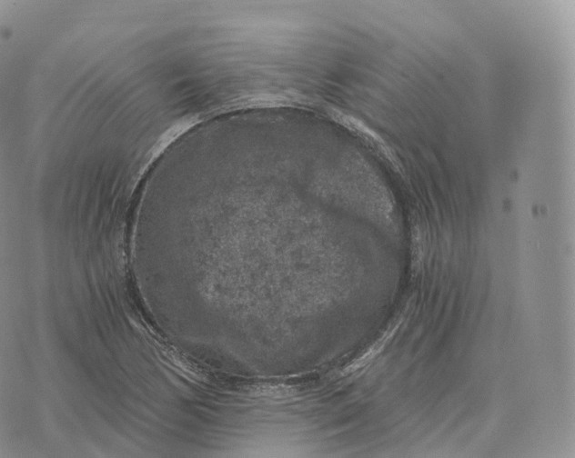 X0000072961170200608111643