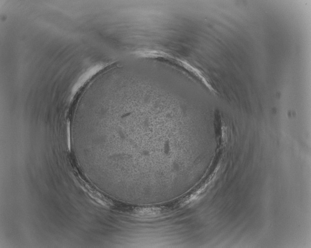 X0000072961171200608111643