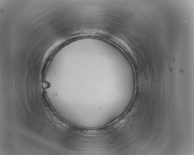 X0000072961172200608111643