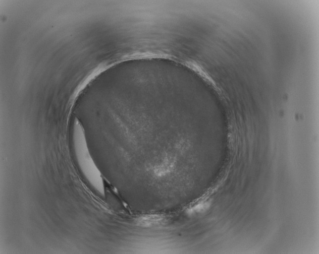 X0000072961173200608111643