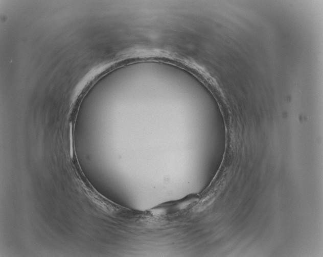 X0000072961175200608111643