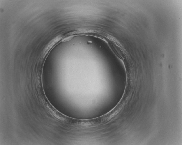 X0000072961177200608111643