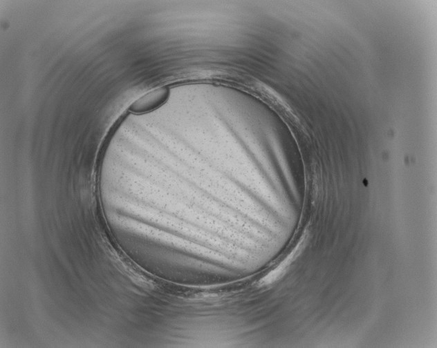 X0000072961178200608111643