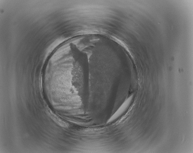 X0000072961179200608111643