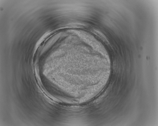 X0000072961180200608111643