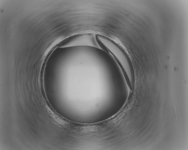 X0000072961181200608111643