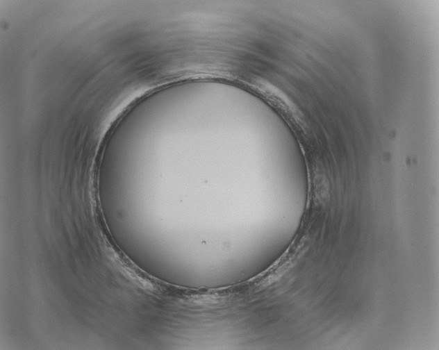 X0000072961182200608111643