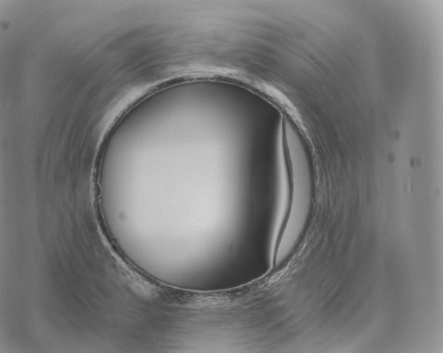 X0000072961183200608111643