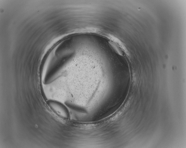 X0000072961184200608111643