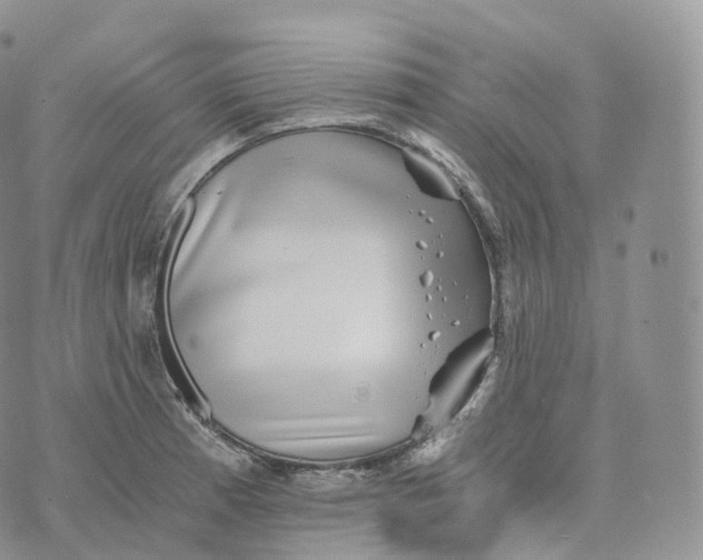 X0000072961185200608111643